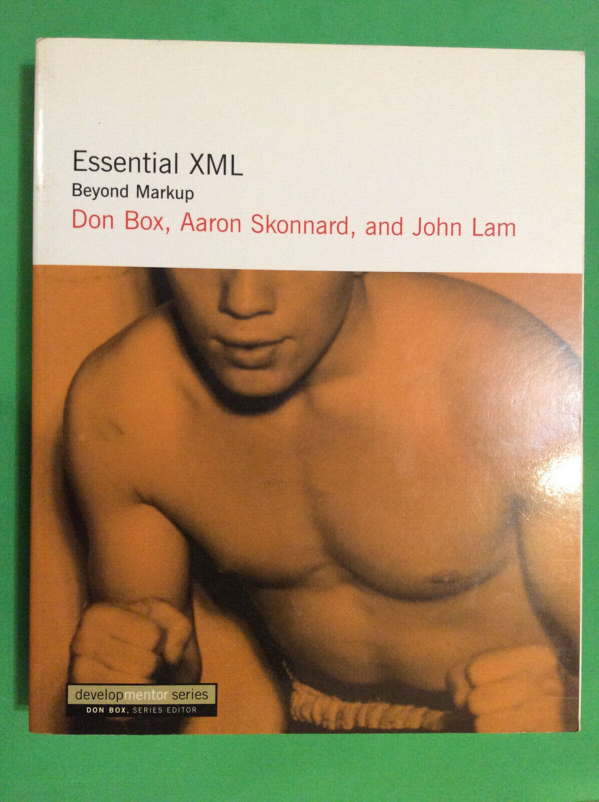 ESSENTIAL XML - BEYOND MARKUP by DON BOX - SOFTCOVER - 2nd PRINTING - $31.95