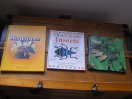 Lot of 3 HONEYBEES What’s Inside Insects SNAIL Science &amp; Nature Hardcove... - £7.58 GBP