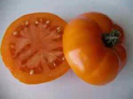 50 Seeds Caro Rich Tomato Juicy Tomatoe Vegetable Edible Food Fresh Garden - £6.97 GBP