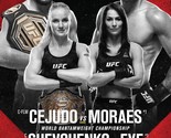 UFC 238 Fight Poster 11x17 Inches - Cejudo vs Moraes | Shevchenko vs Eye... - $19.99