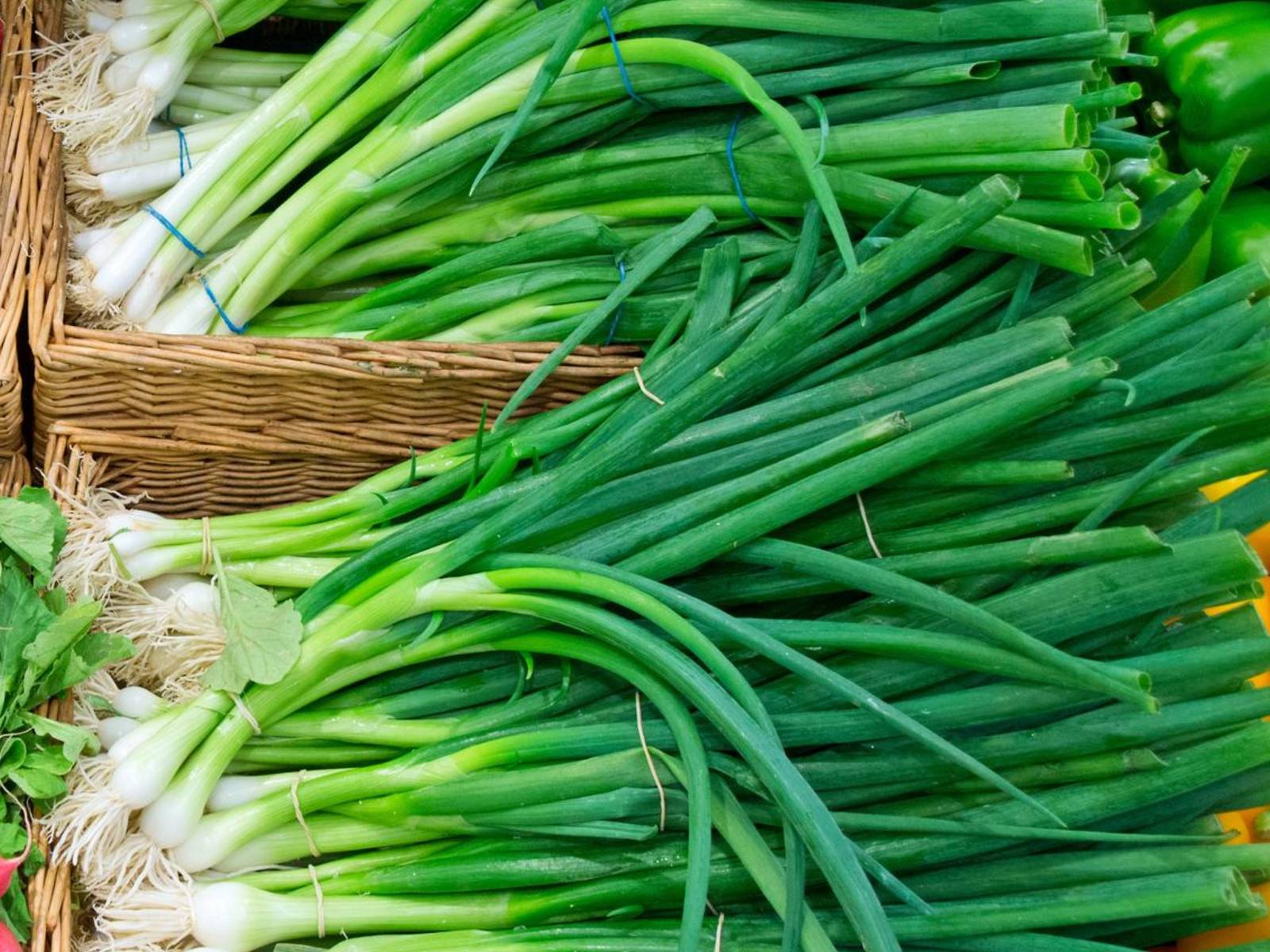 Green Onion Seeds Organic Green Onion Seeds Herb Seeds Green Onions At H... - $2.98