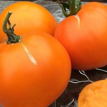 Valencia Tomato Seeds Organic US Fast Shipping - $37.22 MXN
