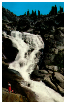 Tokopah Falls Lodgepole California Color Postcard Unposted - £3.84 GBP