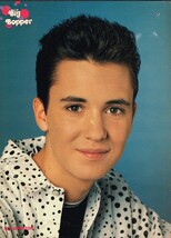 Wil Wheaton Danny Wood New Kids On The Block 11" x 8" Teen Mag Pinup Min... - $6.94