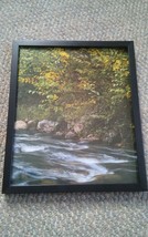 016 Framed River Bank &amp; Trees Picture - £10.17 GBP