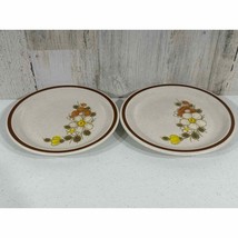 Vintage Woodhaven Collection Stoneware Sunny Brook Bread Plates Lot of 2 - £4.65 GBP