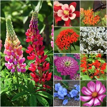 , 2.1 Oz Bulk Package - 30,000 Seeds Hummingbird And Butterfly Attracting Wildfl - £25.57 GBP