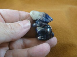 (Y-BUN-ST-569) blue white Sodalite BUNNY RABBIT HARE gemstone carving FI... - £11.10 GBP