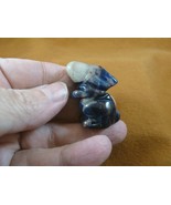 (Y-BUN-ST-569) blue white Sodalite BUNNY RABBIT HARE gemstone carving FI... - £10.95 GBP