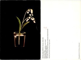 Virginia Richmond Museum Lilies of the Valley Peter Carl Faberge VTG Postcard - £7.39 GBP