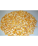 Whole Raw/Re-CLEANED Corn Animal Feed or Arts &amp; Crafts Choose Size FREE ... - £4.82 GBP+