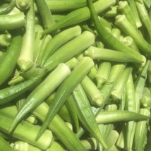 New Emerald Okra Seeds Organic Fresh USA Garden - $6.50