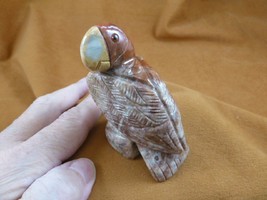 y-bir-pa-402) PARROT Macaw bird red tan gemstone SOAPSTONE carving I lov... - $17.53