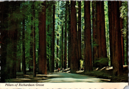 Postcard Pillars of Richardson Grove Redwoods California USA North America (CC1) - £5.41 GBP