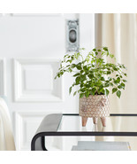 Resin Honeycomb Bumble Bee Planter with Legs (Set of 2) - $95.45 CAD