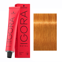 Schwarzkopf IGORA ROYAL Hair Color, 9-7 Extra Light Blonde Copper 