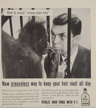 1956 Print Ad Vitalis Men&#39;s Hair Tonic Avoid Orangutan Hair Man &amp; Ape - £11.03 GBP
