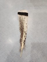 AS31 Real Hybrid Turkey Tail Feather Used As Faux Eagle - £13.39 GBP