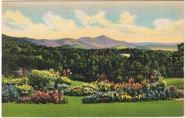 Postcard Mount Pisgah &amp; The Rat Asheville School Western North Carolina - £2.84 GBP