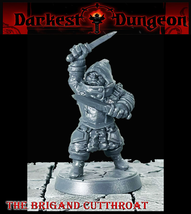 Brigand Cutthroat Bandit DnD D&amp;D Fantasy miniatures DARKEST DUNGEON - $7.99