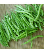 100 SEEDS Guar Seeds (Cluster Beans) Easy to Seasons - £14.96 GBP