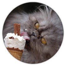 Cat : Gift Coaster Licking Ice Cream Funny Cute Pet Persian - £4.00 GBP