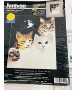 Janlynn Cat&#39;s Eyes Counted Cross Stitch Vintage 1998 9x12 #13-249 New/Op... - £32.63 GBP