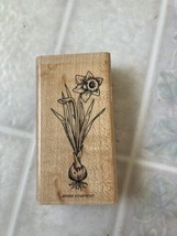 Vintage Stampin Up Bulbs In Bloom Stamp 1999 Daffodil Flowering Bulb Christmas - $9.49