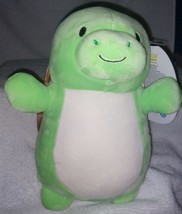 Squishmallows Hugmees Henry the Turtle 10&quot; NWT - £14.10 GBP