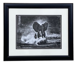 Running Elephant Framed 11x14 Art Poster Photo - $87.29