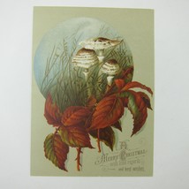 Victorian Christmas Card Mushrooms Grass Autumn Leaves Red Orange Green ... - $9.99