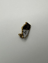 Vintage Girls Athletic Association Illinois Pin 1.2cm x 0.6cm BB8 - $11.88