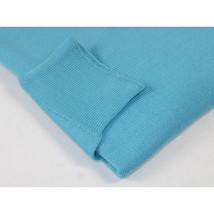 Men PRINCELY Soft Comfortable Merinos Wool Sweater Knits Mock 1011-00 Turquoise image 4
