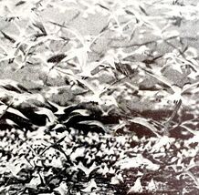 Royal And Cabot Terns Battledore Island Louisiana 1936 Bird Print Nature... - $370.74 MXN