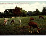 Cervo Park Dorato Gate Park San Francisco California Unp DB Cartolina T1 - $5.07
