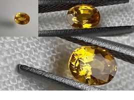 GIA vivid yellow Sapphire, GIA Premium handcrafted oval cut Sri Lanka - £61.75 GBP