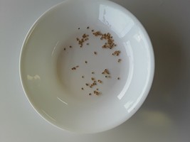 Item image 1 image 1