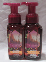 Bath &amp; Body Works Gentle &amp; Clean Hand Soap Lot Set Of 2 Pomegranate &amp; Blackberry - £18.43 GBP