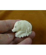 tb-pig-4 little white pig Tagua NUT palm figurine Bali carving Piglet hog - £28.33 GBP