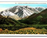 Field of Poppies Mount San Antonio California CA UNP WB Postcard U7 - £2.30 GBP