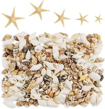 Yexpress 186 Pcs Mini Tiny Sea Shells Mixed Ocean Beach Seashells, Natural Starf - £10.71 GBP