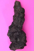 Giant Lizard Poop 5 Million Years Old Coprolite Genuine Fossil Dino Girl... - $34.99