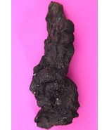 Giant Lizard Poop 5 Million Years Old Coprolite Genuine Fossil Dino Girl... - $47.98 CAD