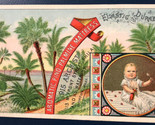 Dr W P O’Brian Victorian Trade Card General Traveling Agent - $6.92