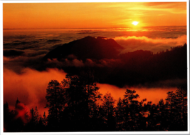 Sunset From Beetle Rock Sequoia National Park California Vintage Postcard - £4.35 GBP