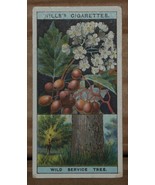 VINTAGE WILLS CIGARETTE CARDS FLOWERING TREES SHRUBS # No 41 NUMBER X1 b7 - £1.37 GBP
