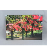 Vintage Postcard - Butchart Gardens Begonia Bowler - Peacock Postcards - $20.37 CAD