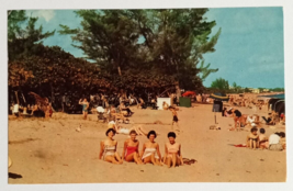 Bathing Beauties Picnicking Pompano Beach Florida Colourpicture Postcard 1950s - £6.38 GBP