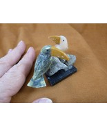 (Y-BIR-TO-474) pair of Toucans green + white love bird gemstone STONE ge... - $334.55 MXN