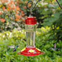 Shrdaepe Hummingbird Feeder, Glass Bottle Bird Feeders, 5 Feeding Ports,... - $25.47